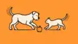 Little Walks and Pet Care